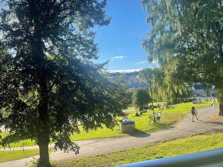 Privat overnatting Privat Rom Med Dobbeltseng Sentralt Pa Grunerlokka Oslo